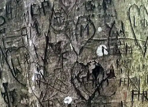 Gravures humaines sur un arbre : signes, lettres,...