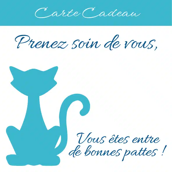 Exemple carte cadeau joyeux anniversaire séance soins énergétiques & coaching recto